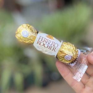 Ferrero Rocher T3