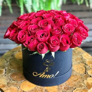 Caixa com 40 Rosas